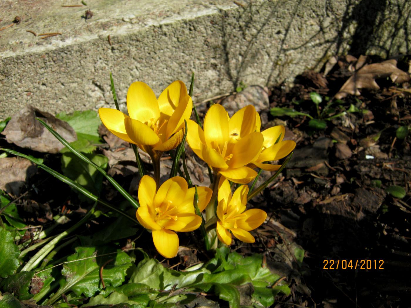 img_0259.jpg