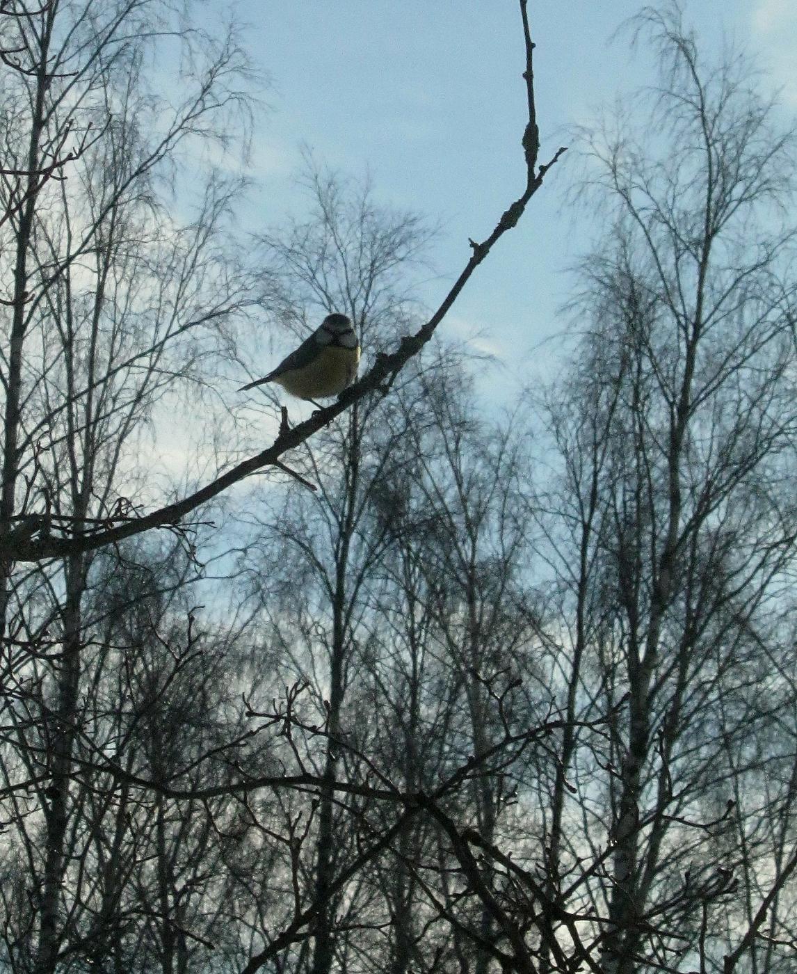 img_4520.jpg