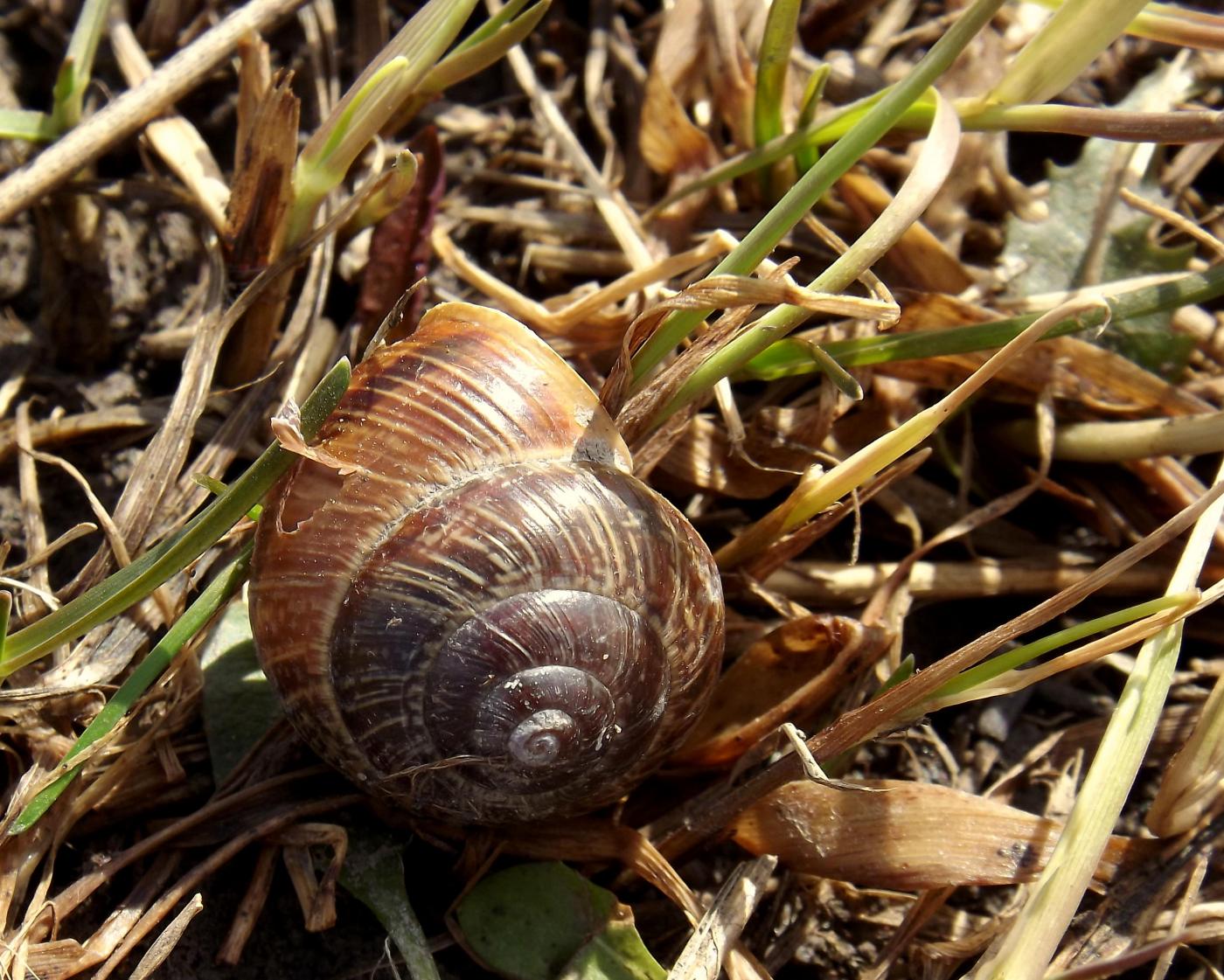 dscf1461.jpg