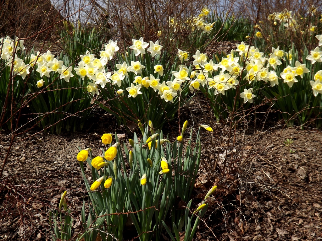 dscf1933.jpg