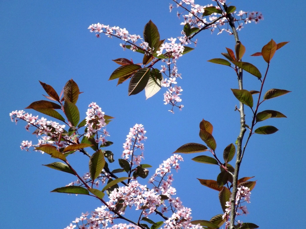 DSCF2095.JPG