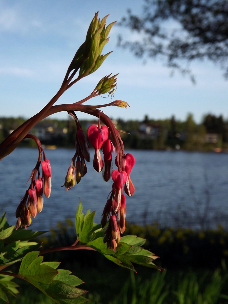 DSCF2143.JPG