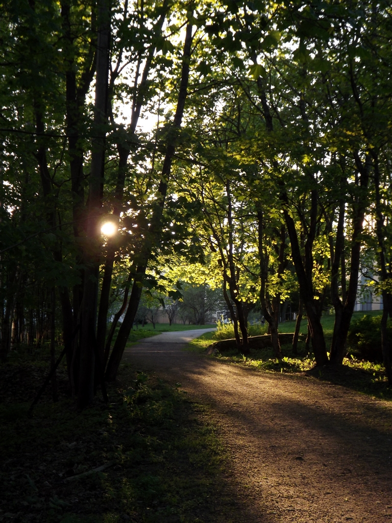 DSCF2165.JPG