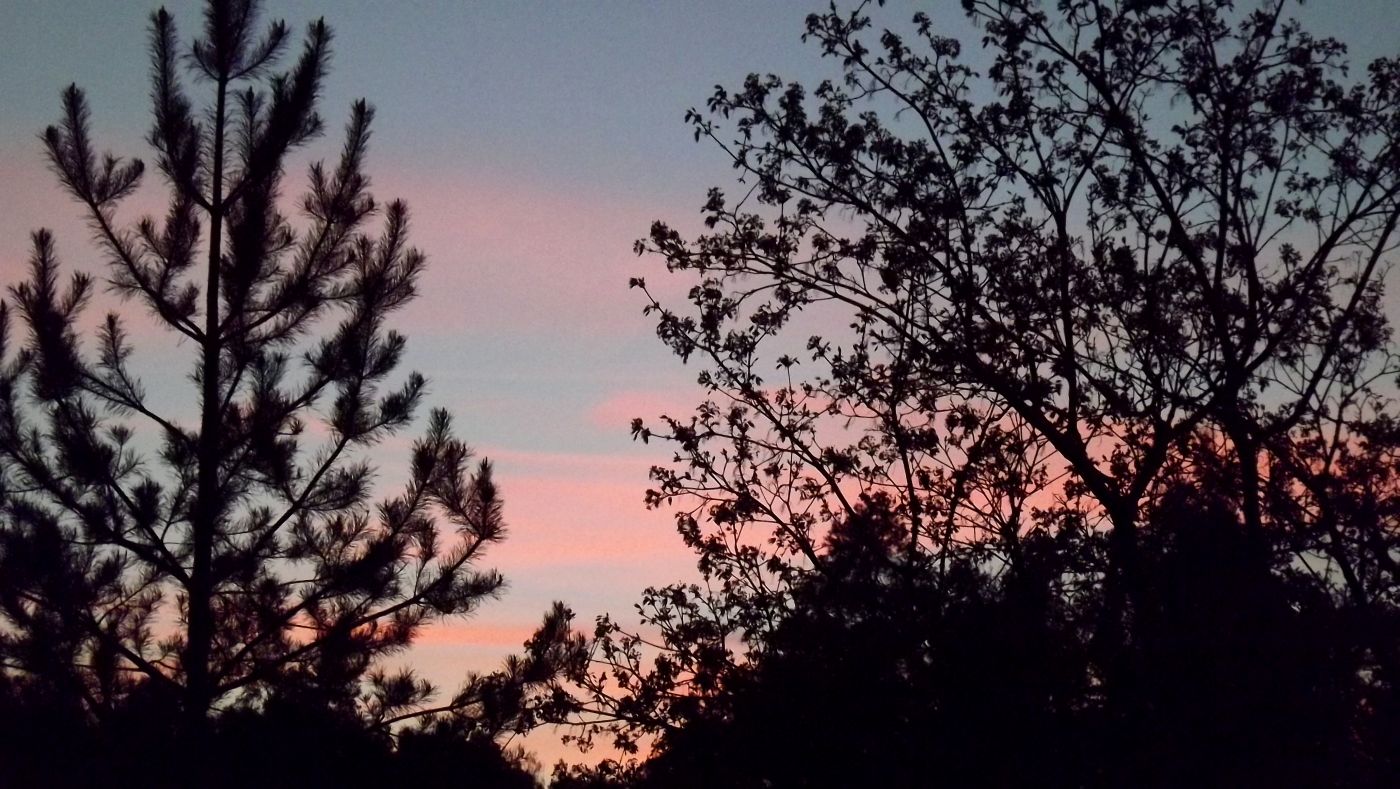 DSCF2061.JPG