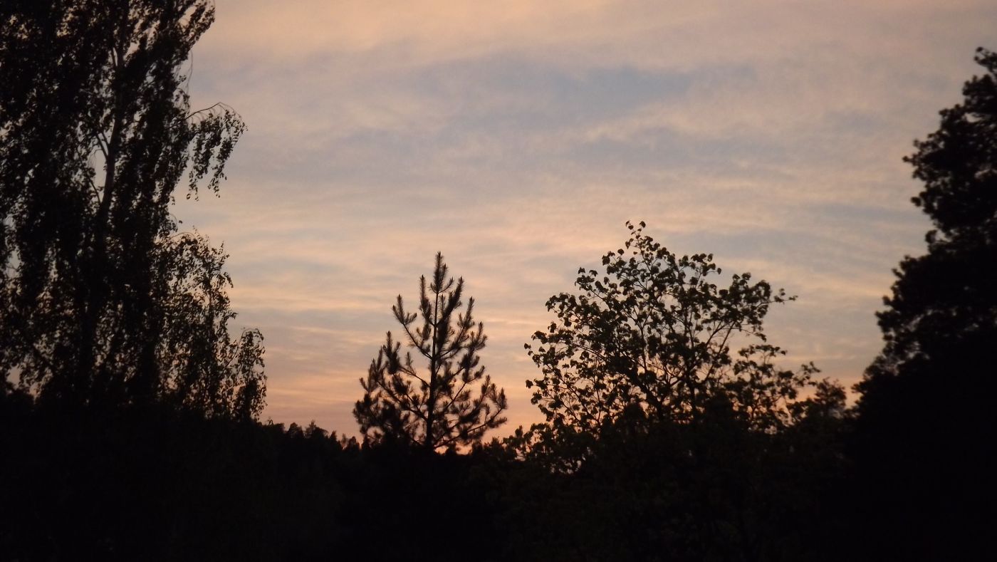 DSCF2069.JPG
