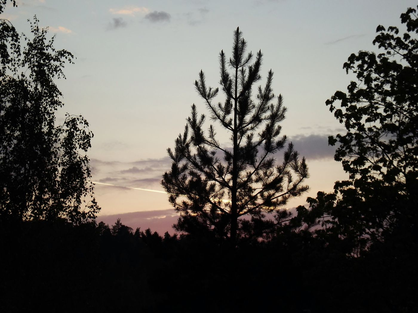 DSCF2085.JPG
