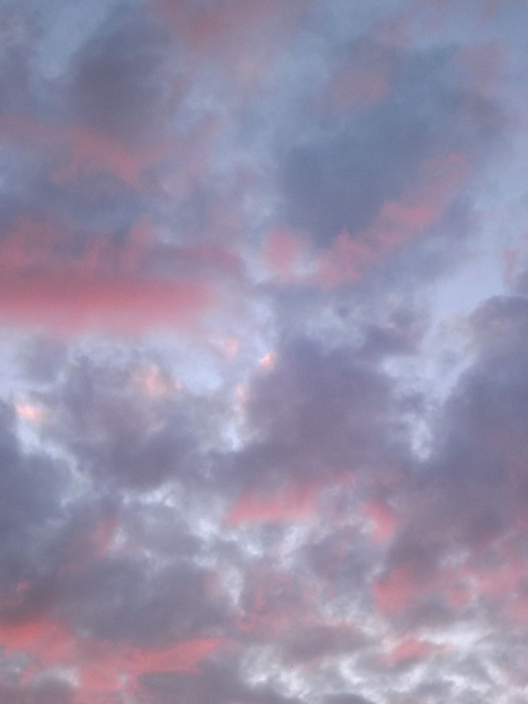 DSCF2193.JPG
