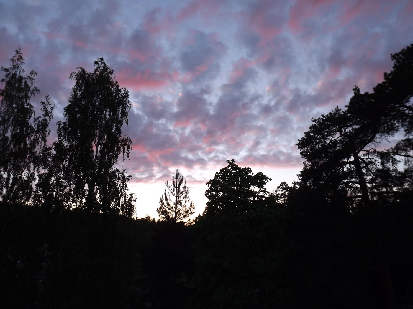DSCF2194.JPG