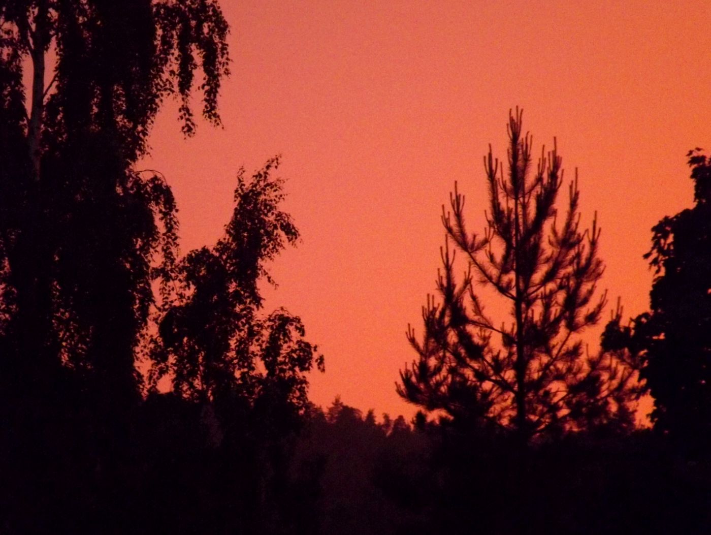DSCF2411.JPG