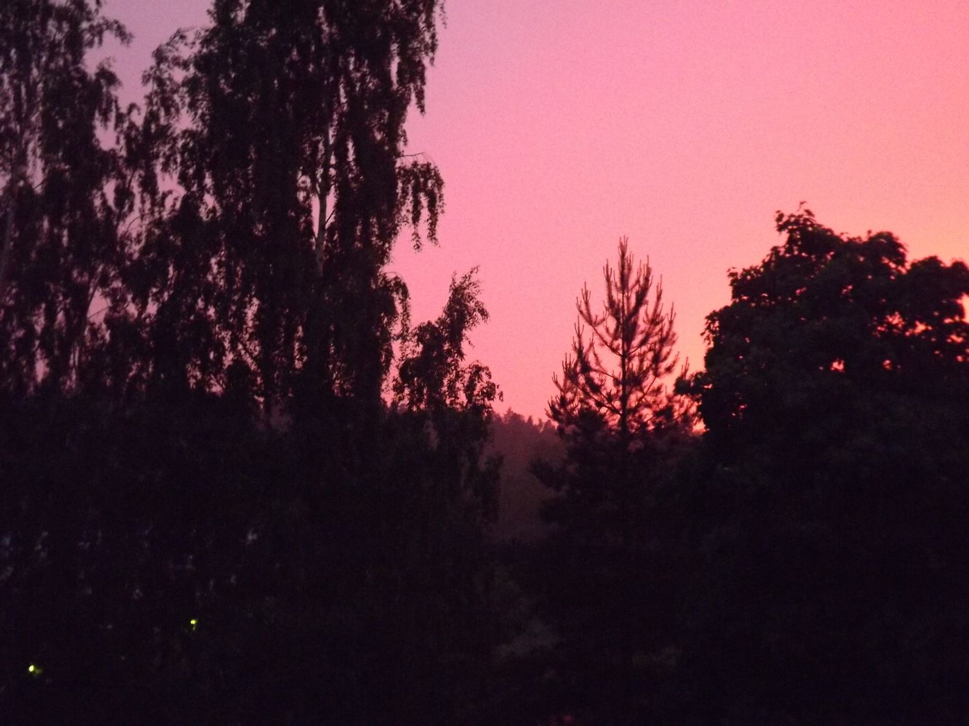 DSCF2413.JPG