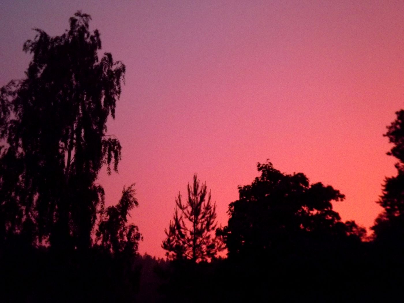 DSCF2415.JPG