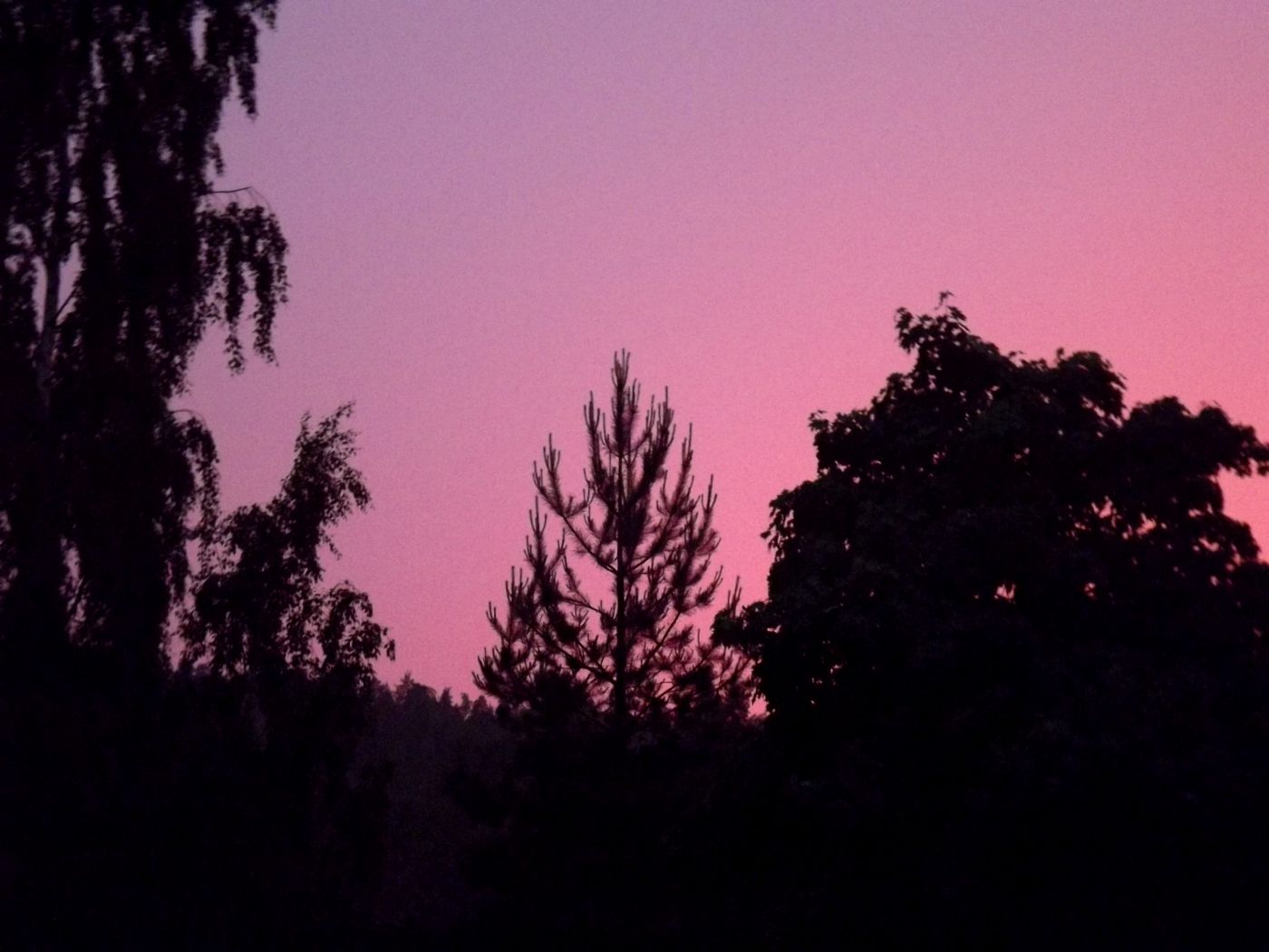 DSCF2417.JPG