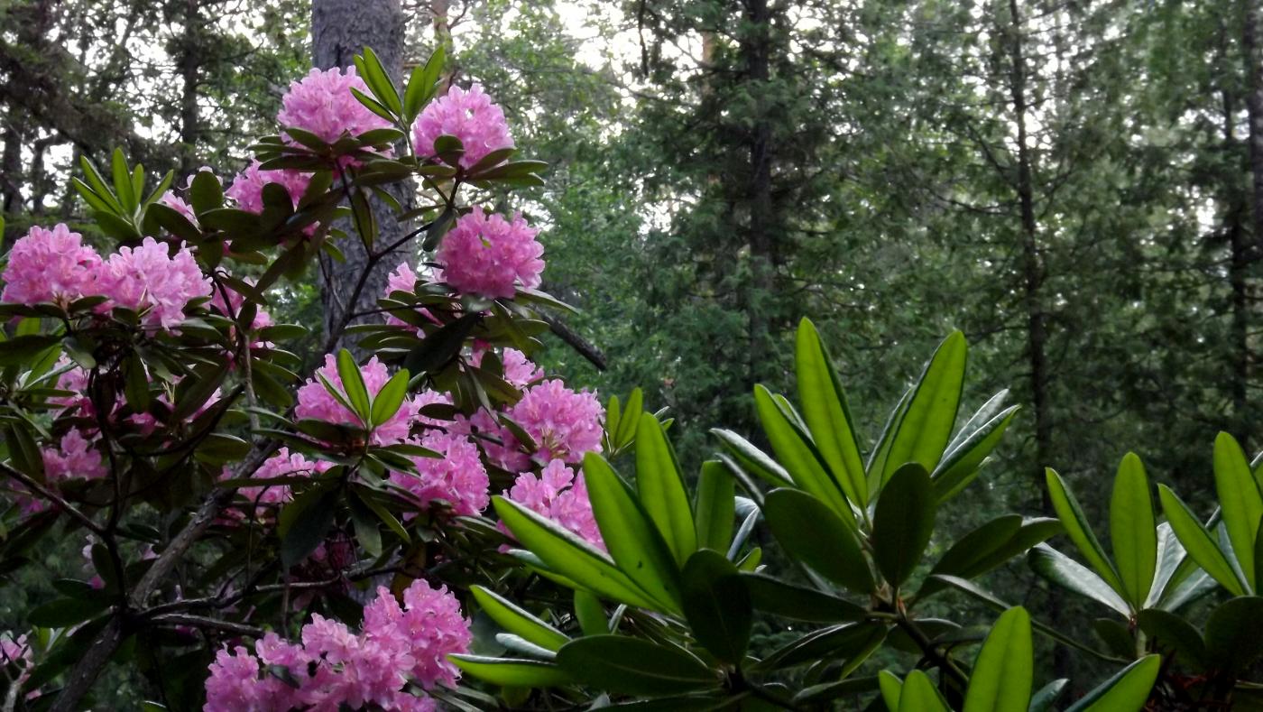 DSCF2514.JPG