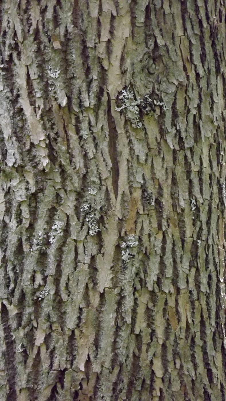 DSCF2545.JPG