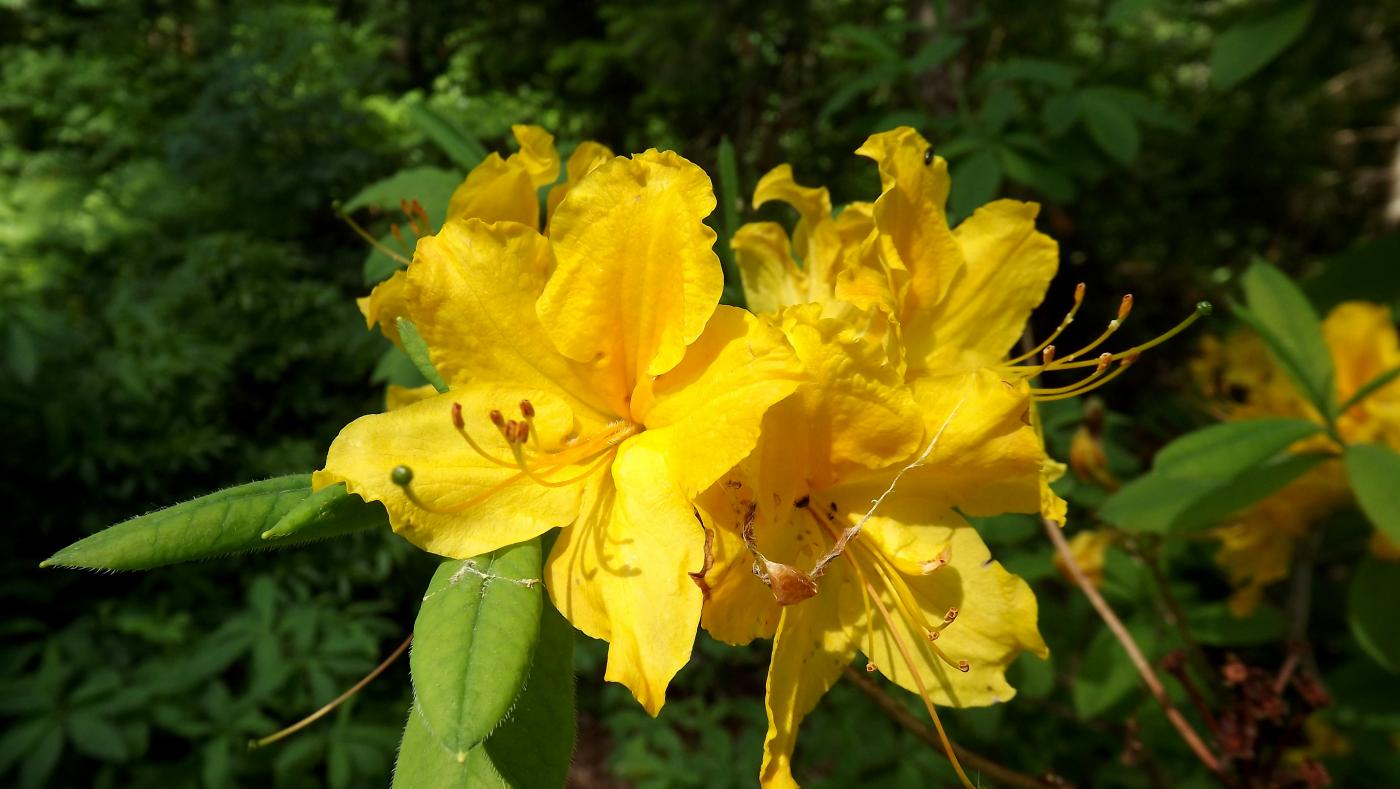 DSCF2585.JPG