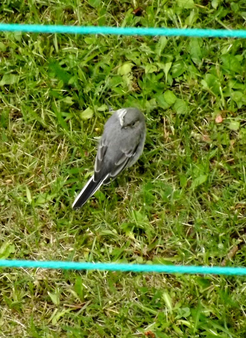 DSCF2633.JPG