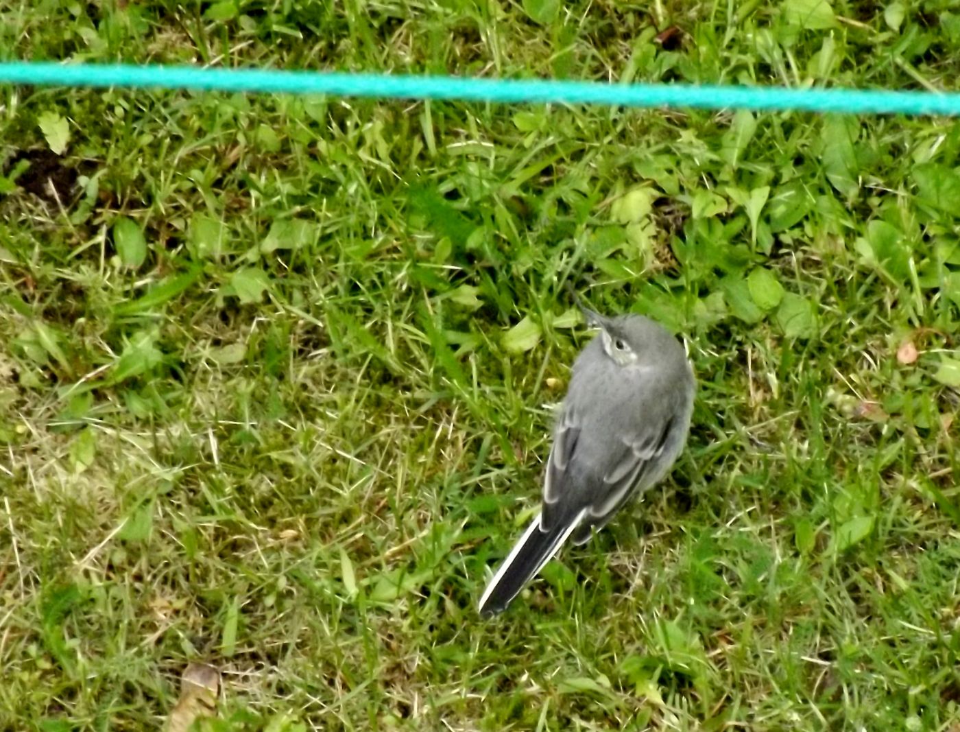 DSCF2634.JPG