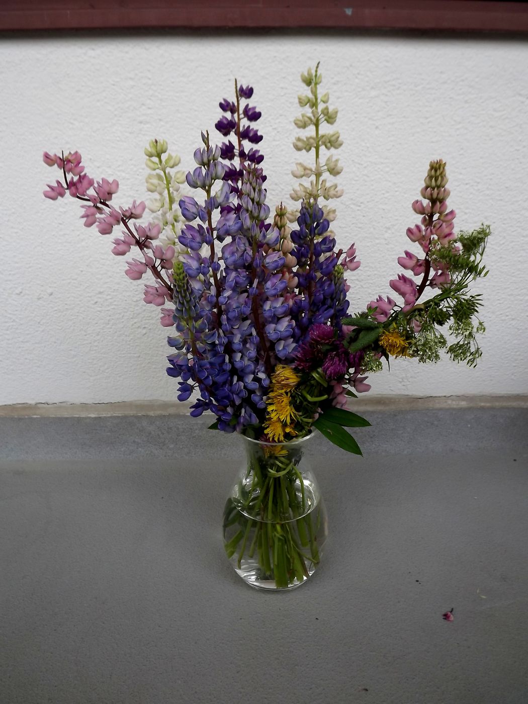 DSCF2664.JPG