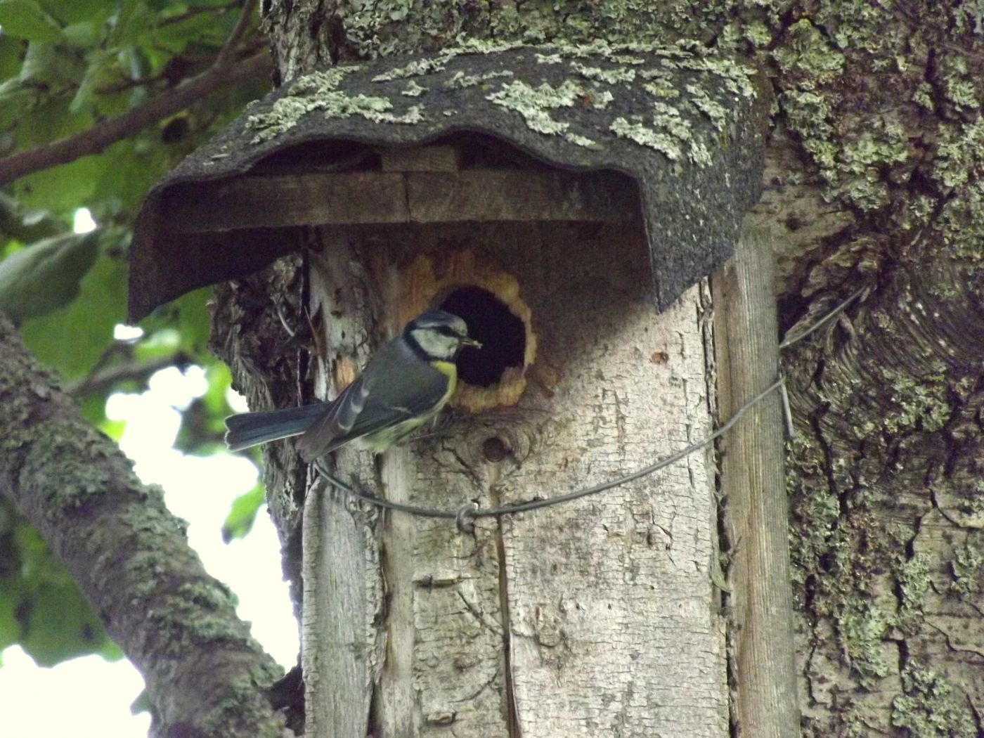 DSCF2713.JPG