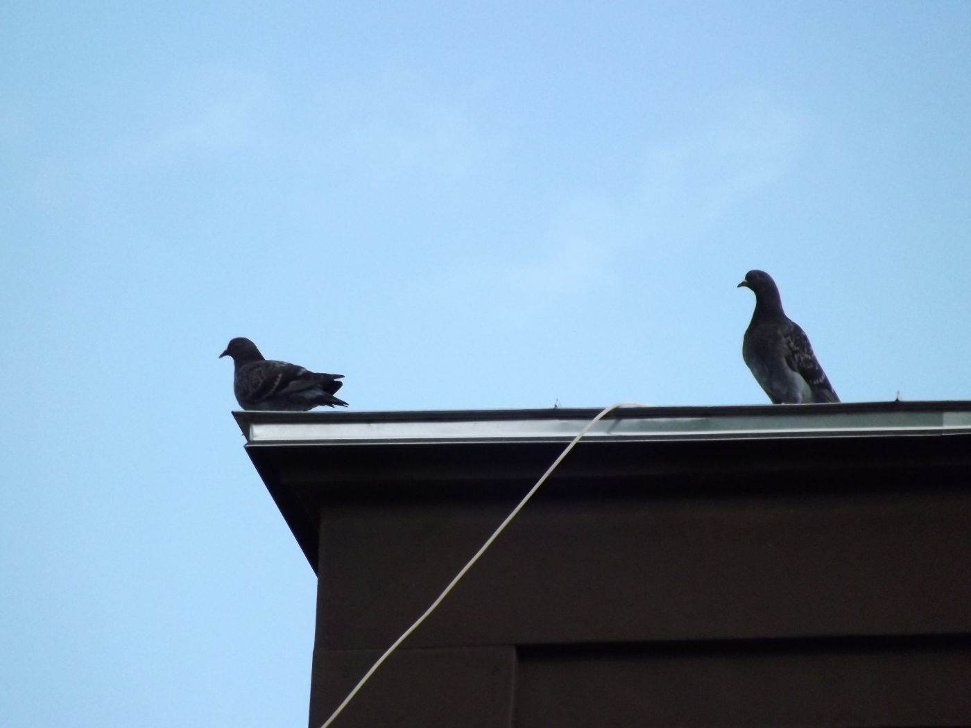 DSCF2716.JPG