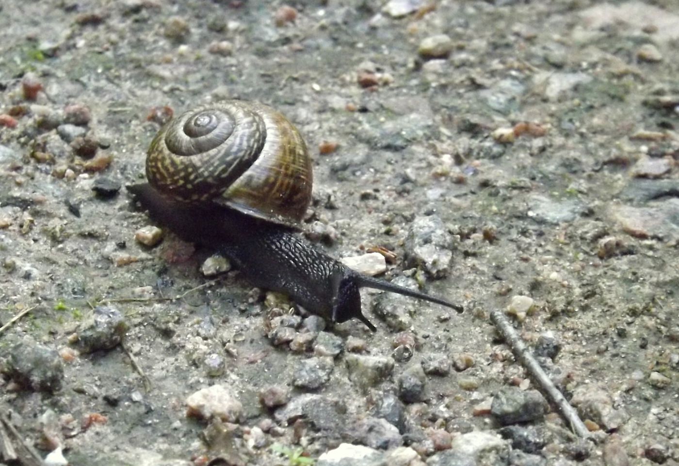 DSCF2719.JPG