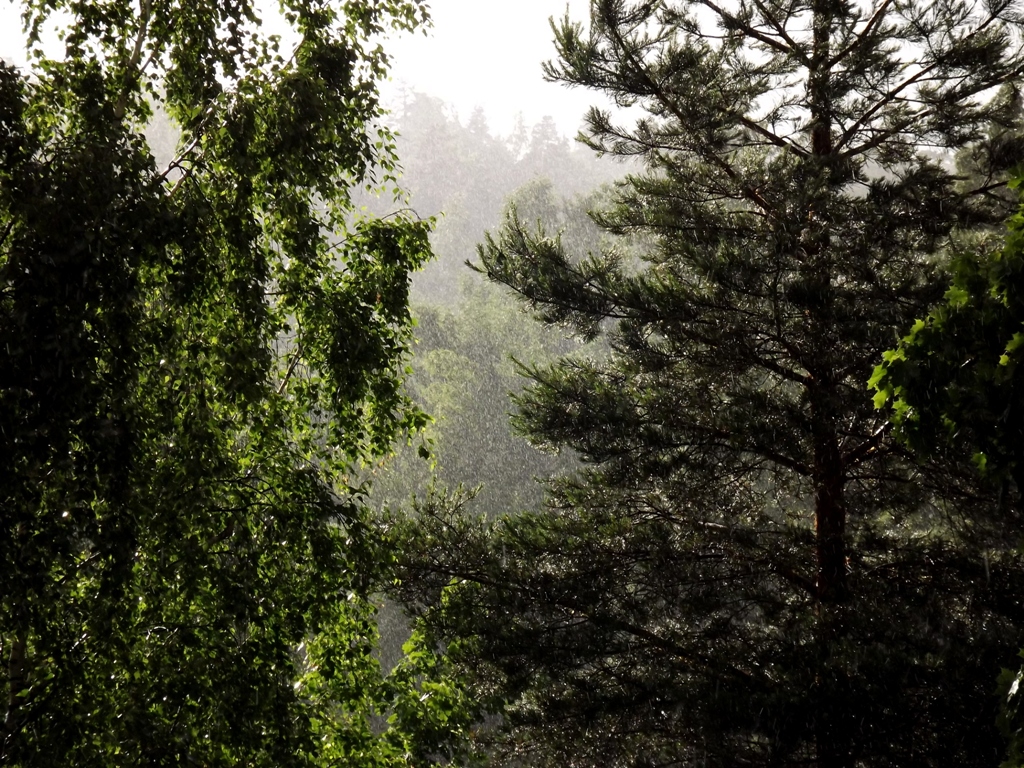 DSCF2728.JPG