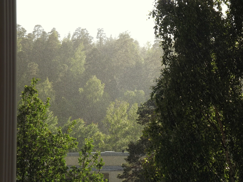 DSCF2730.JPG