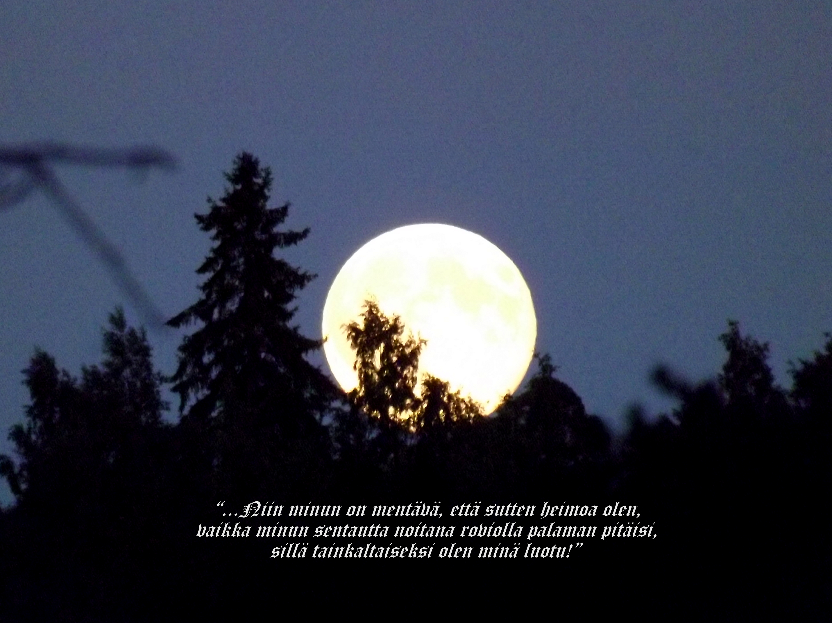 DSCF3063 – Kopio – Kopio.JPG
