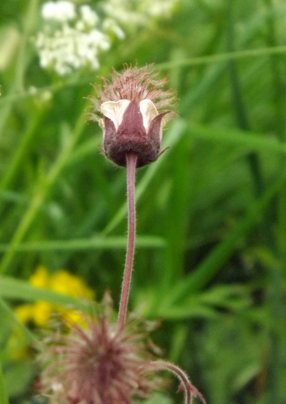 DSCF2754.JPG