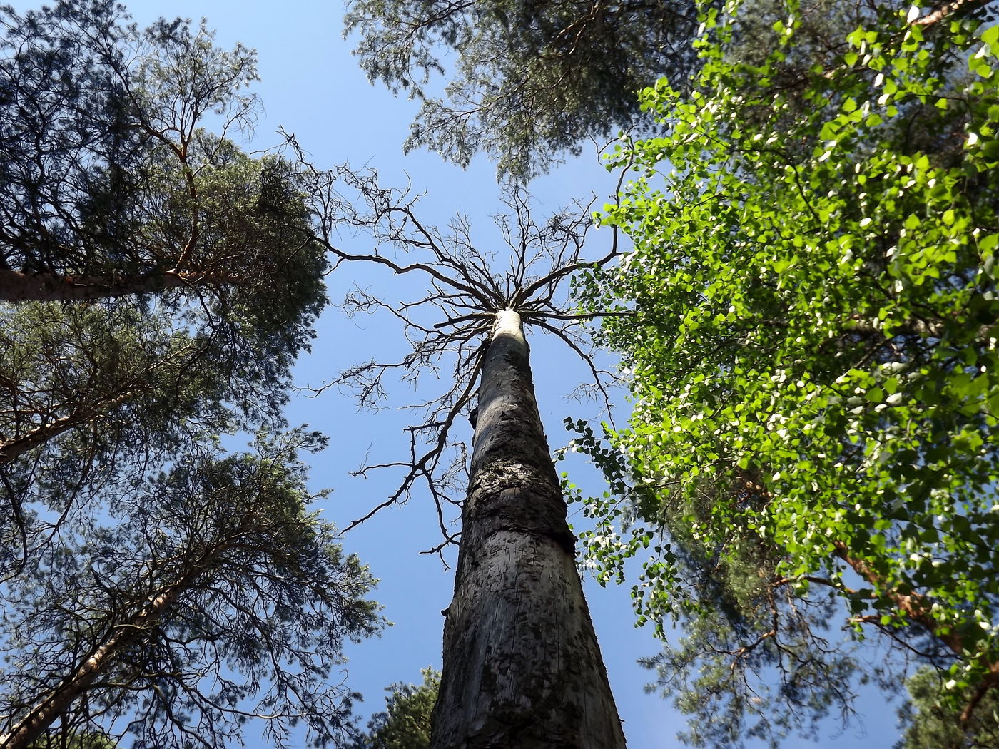 DSCF2763.JPG