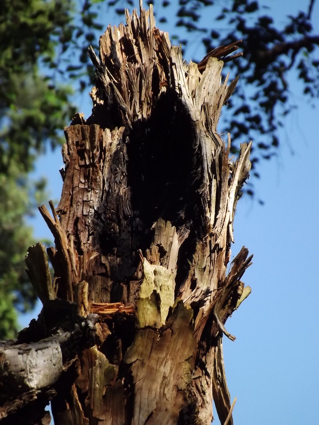 DSCF2780.JPG