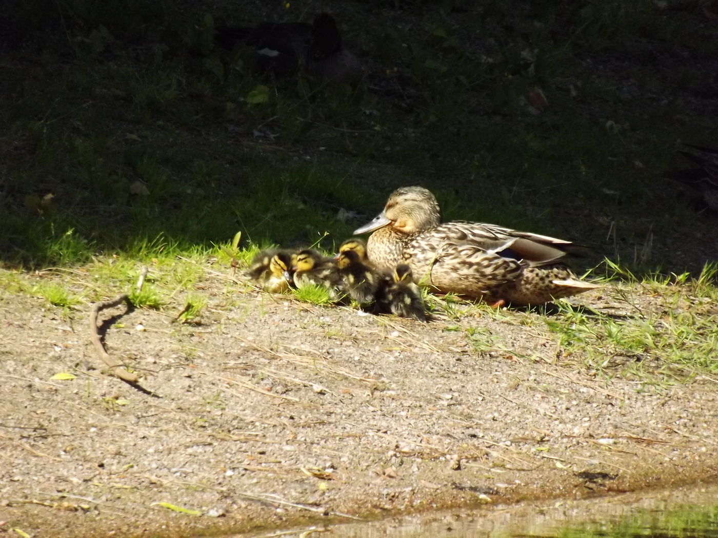 DSCF2879.JPG