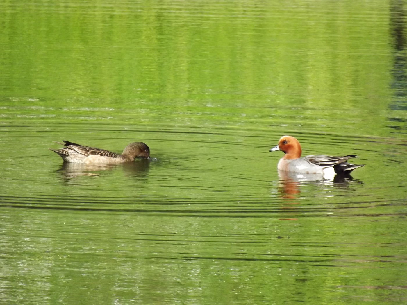 DSCF2886.JPG