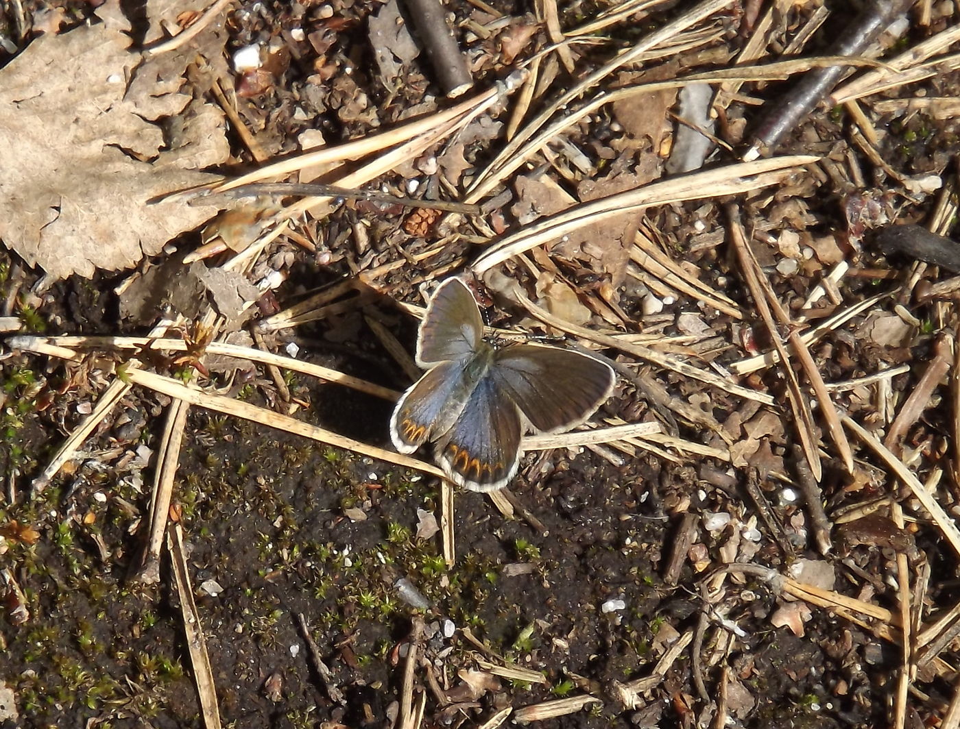 DSCF3141.JPG