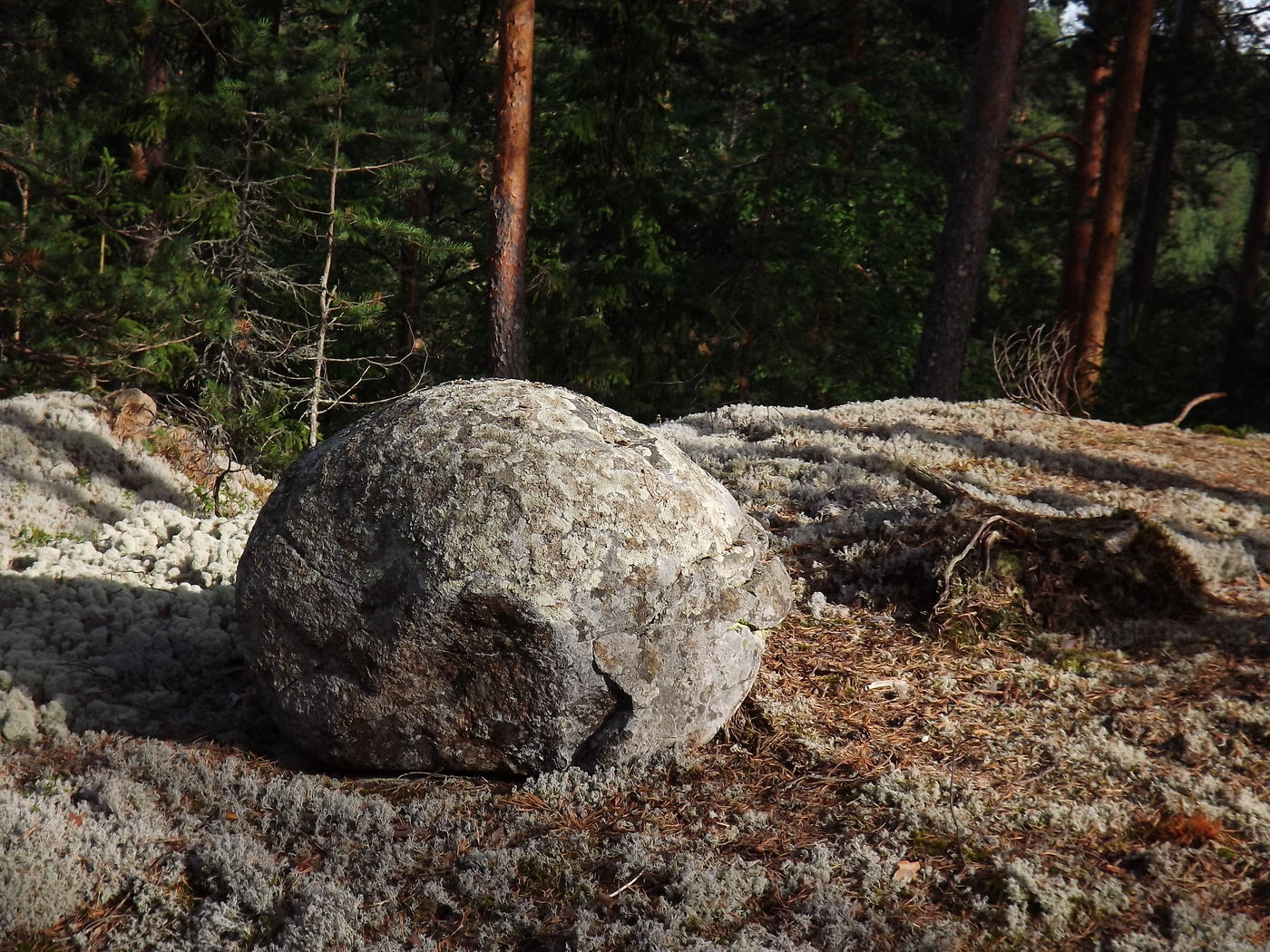 DSCF3172.JPG