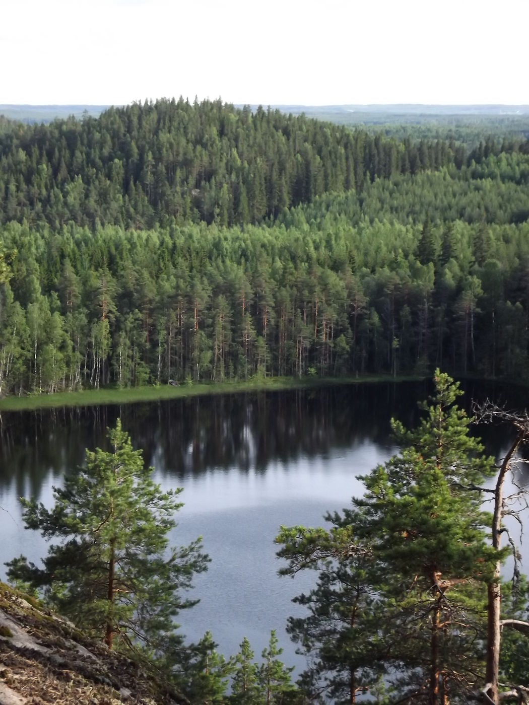 DSCF3190.JPG