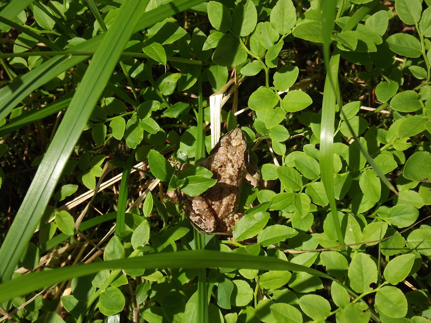 DSCF3284.JPG