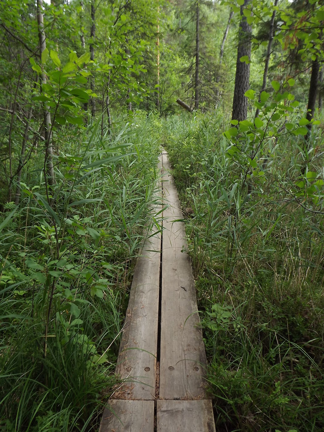 DSCF3300.JPG