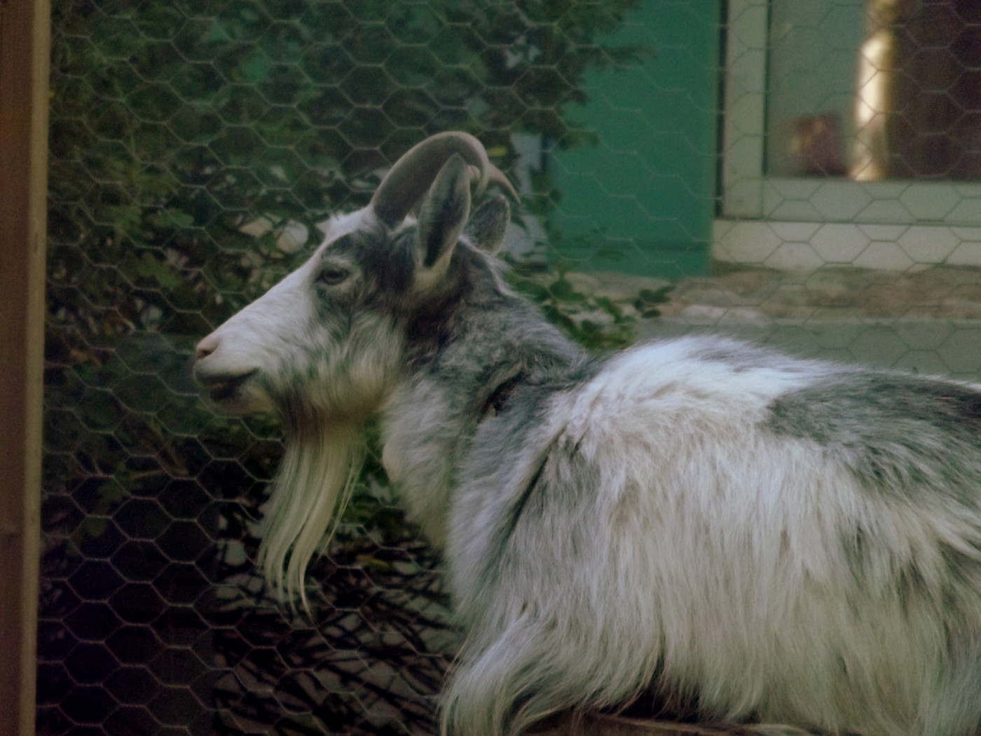 DSCF3464.JPG