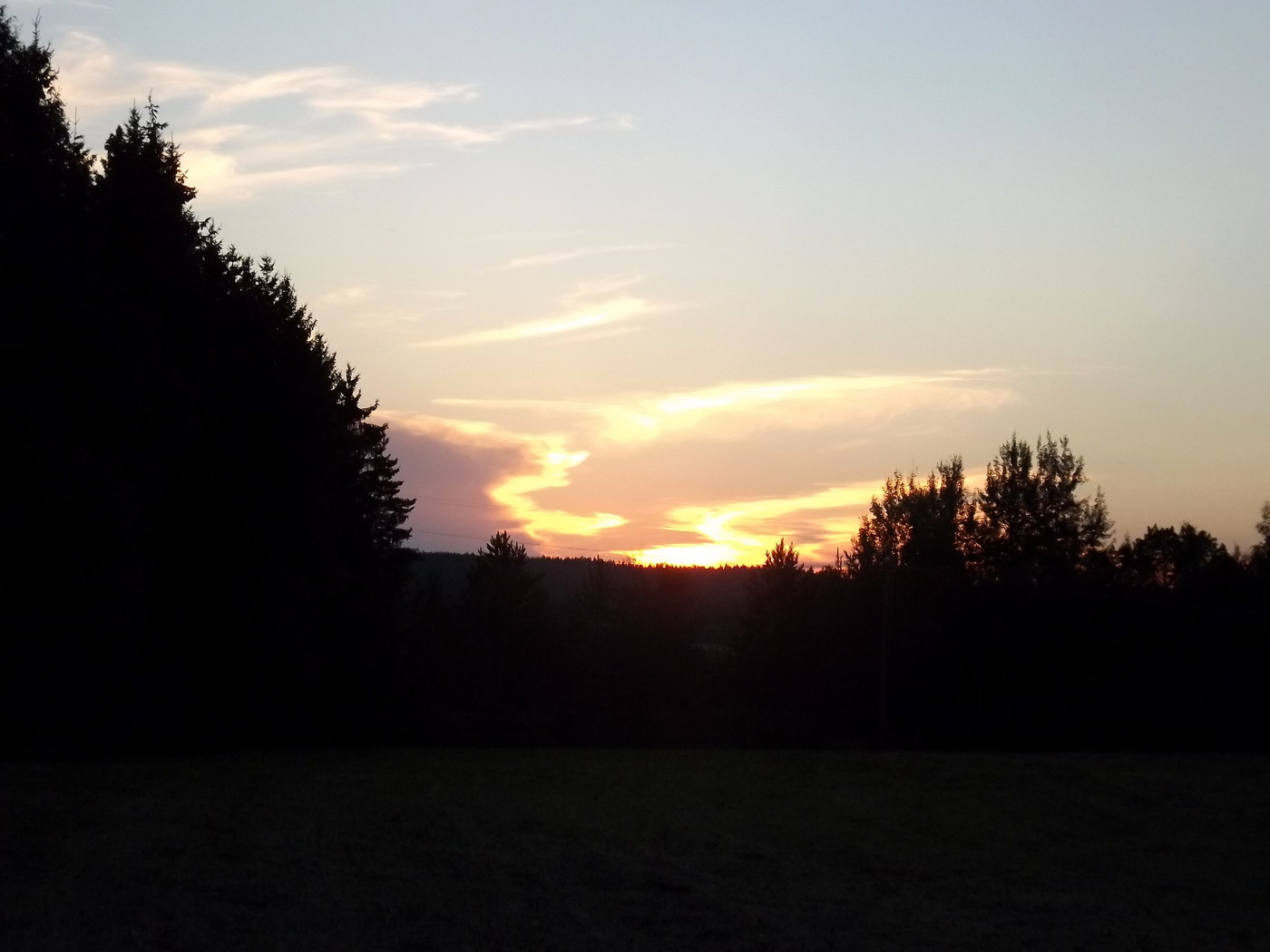 DSCF3483.JPG