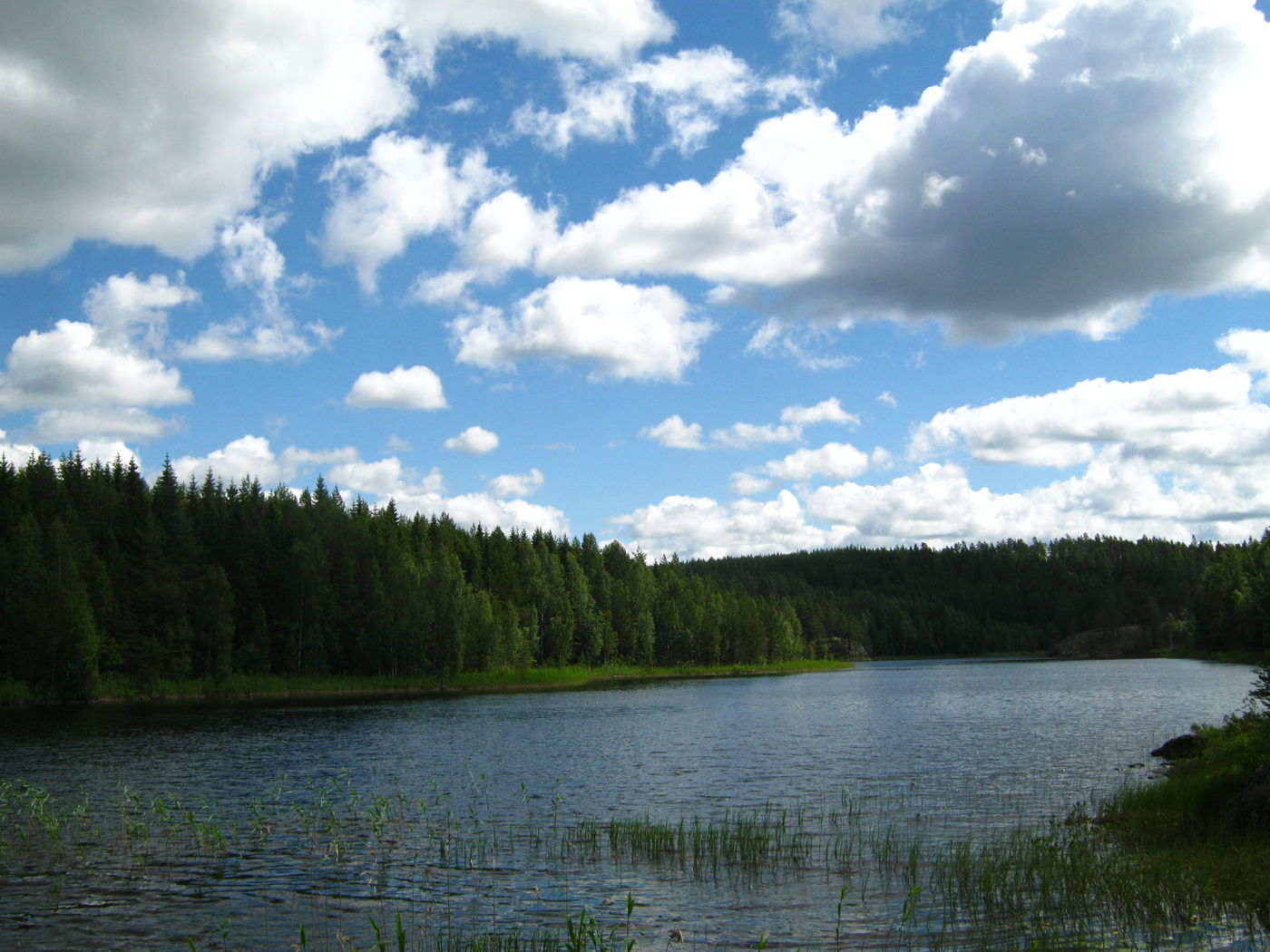 IMG_1799.JPG