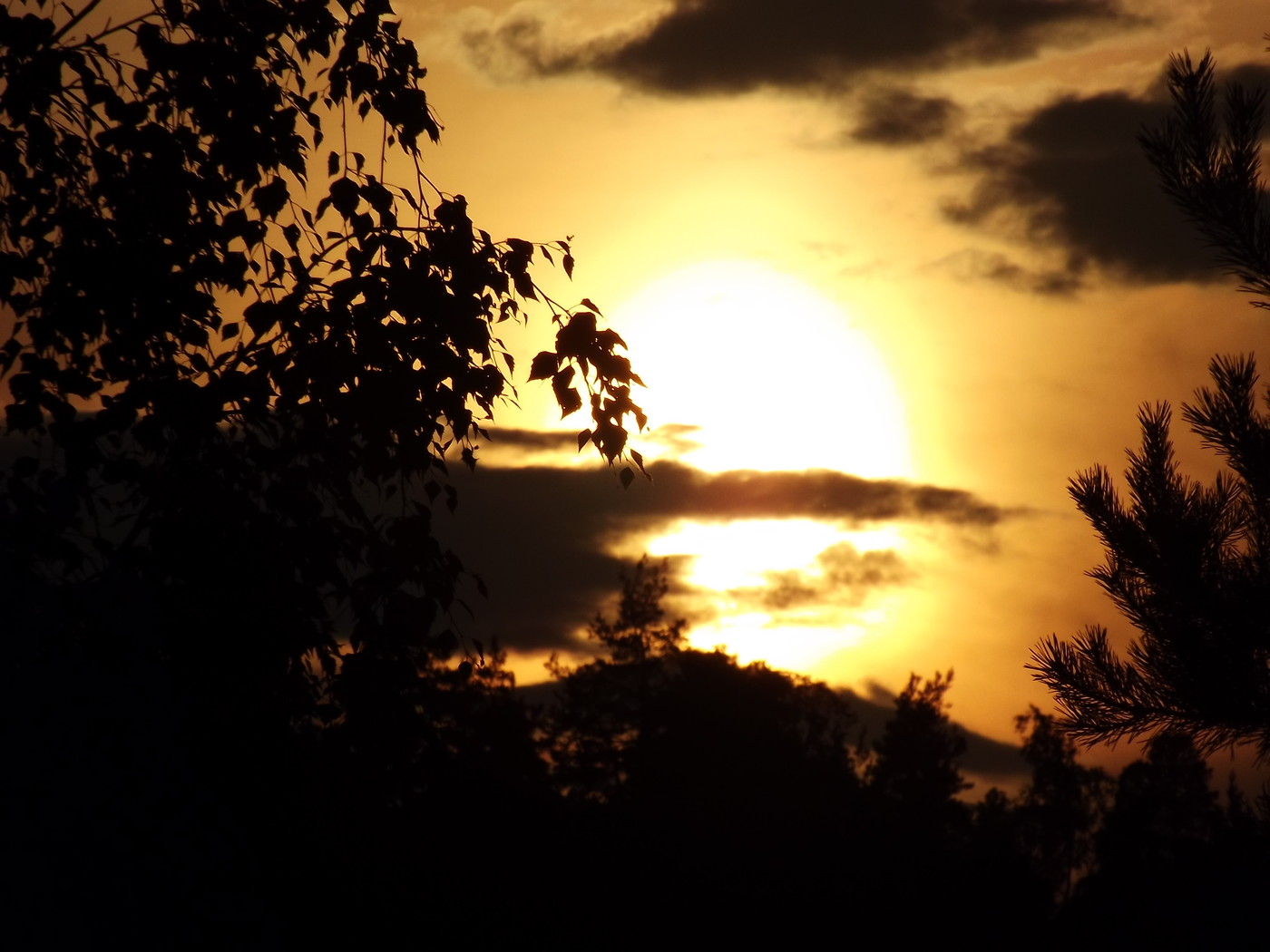 DSCF3078.JPG