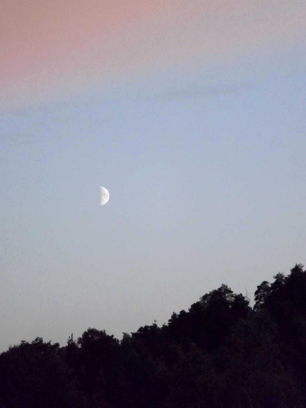 DSCF3436.JPG