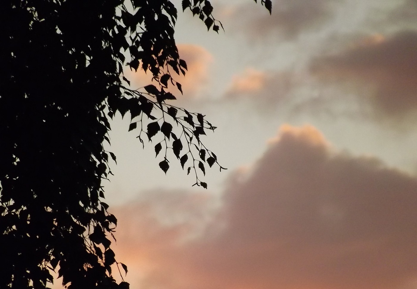 DSCF3575.JPG