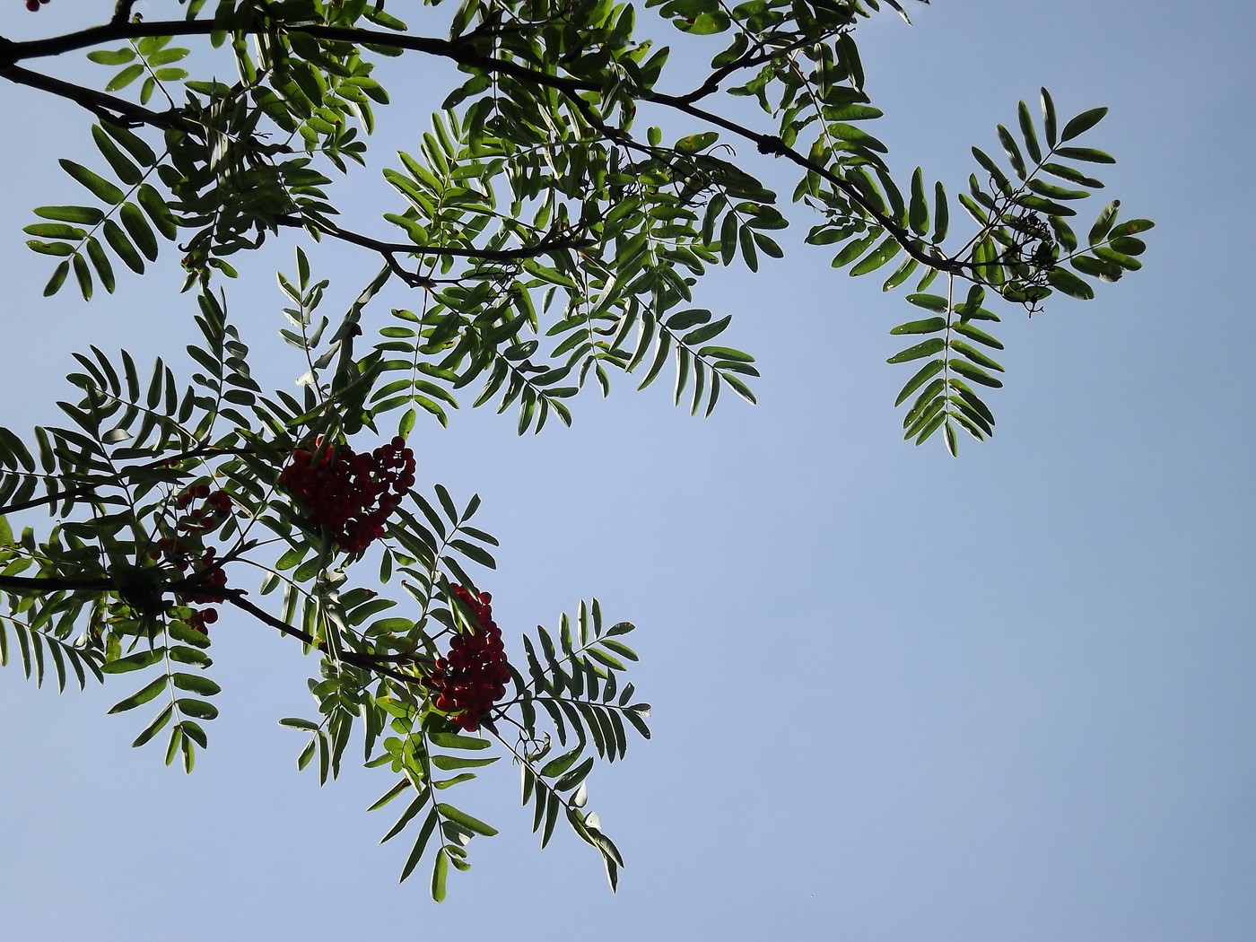 DSCF3581.JPG