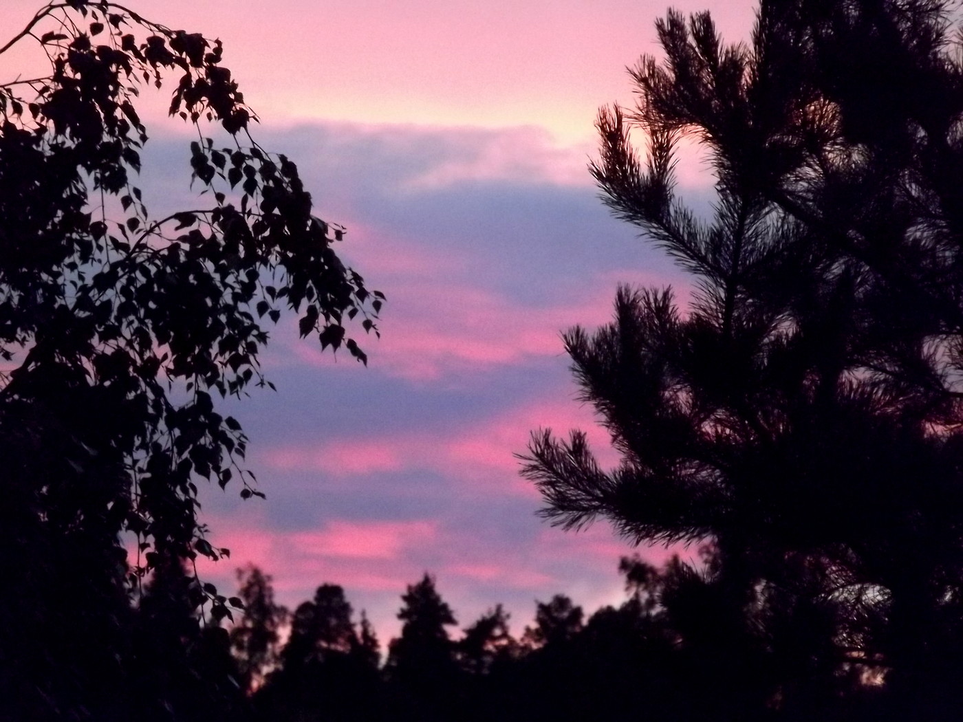 DSCF3583.JPG
