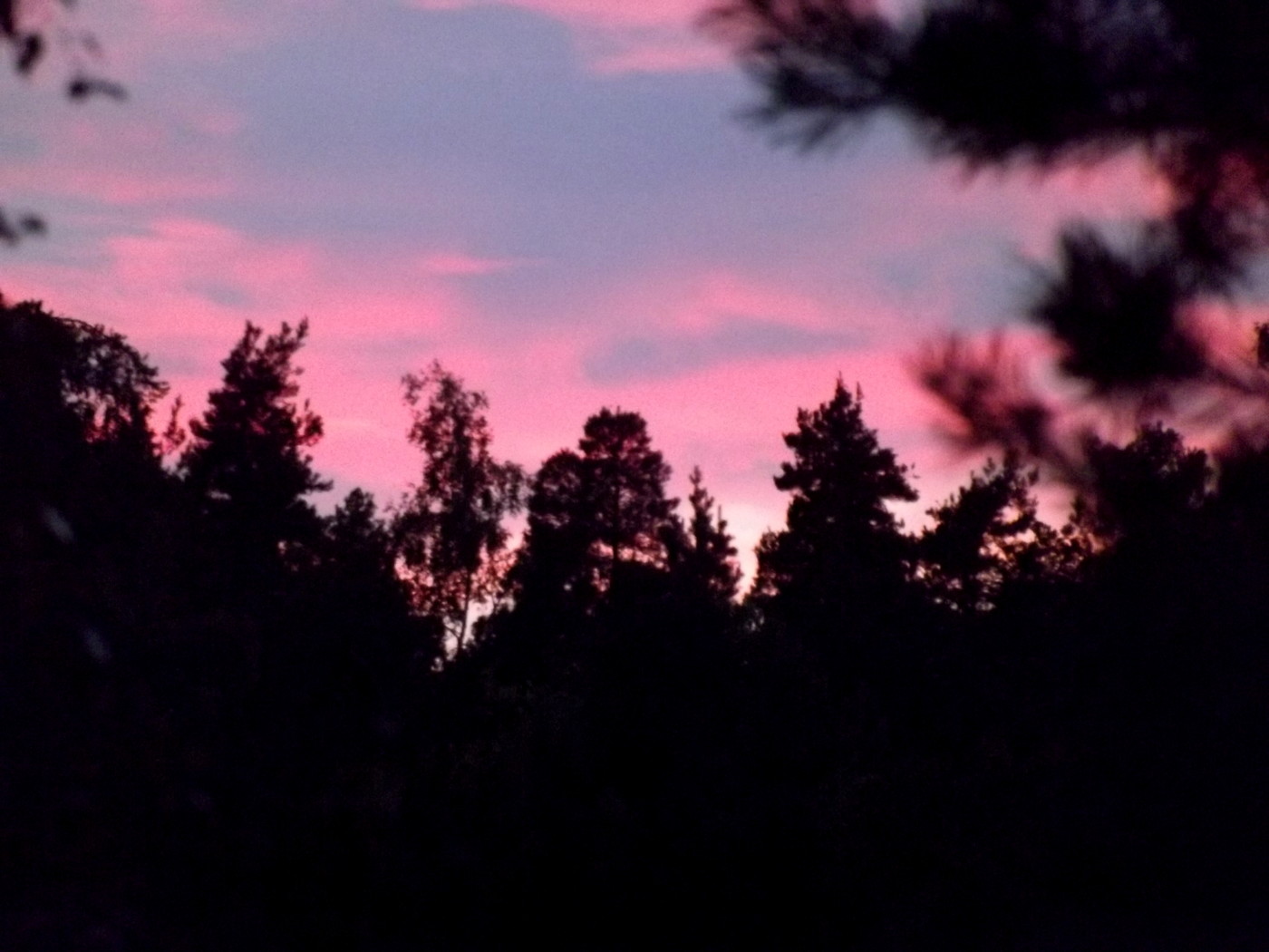 DSCF3592.JPG