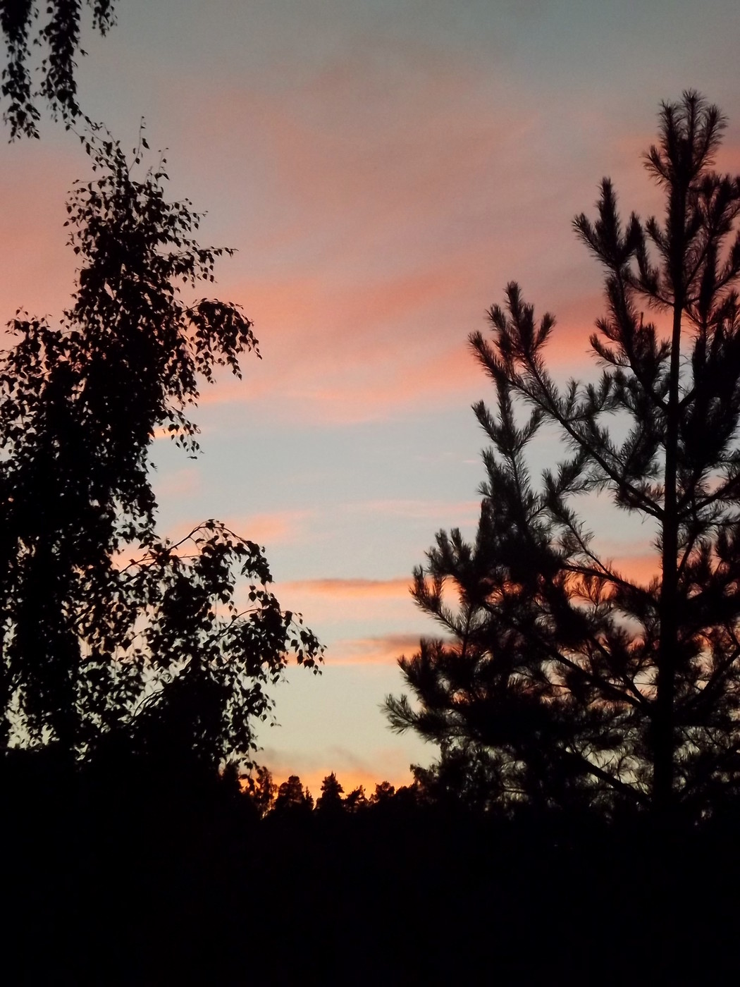 DSCF3648.JPG