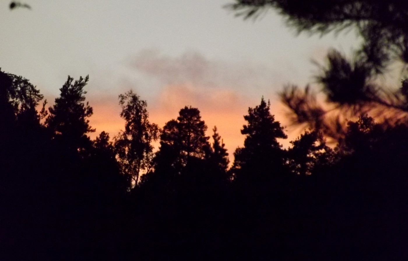 DSCF3649.JPG