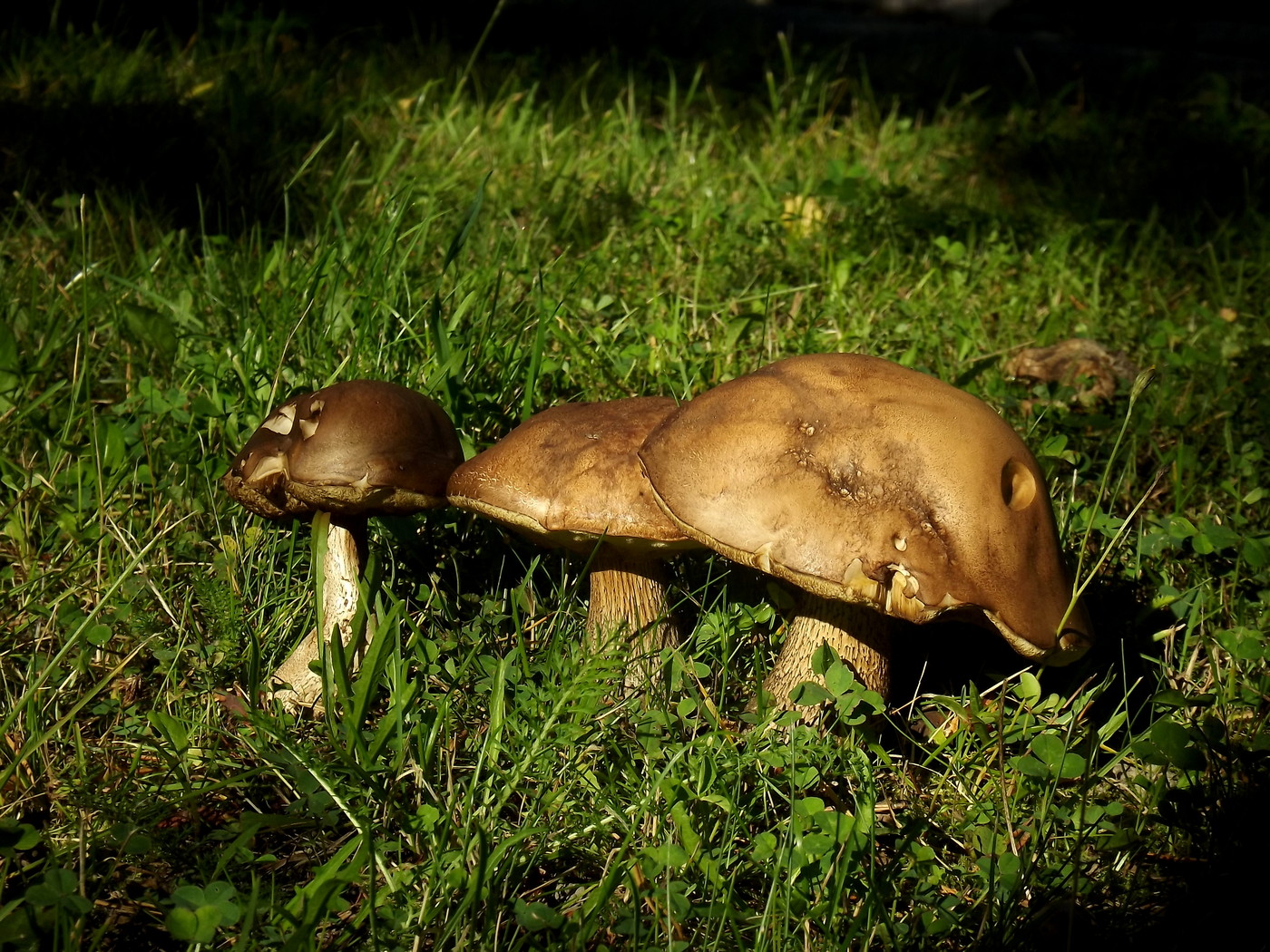DSCF3814.JPG